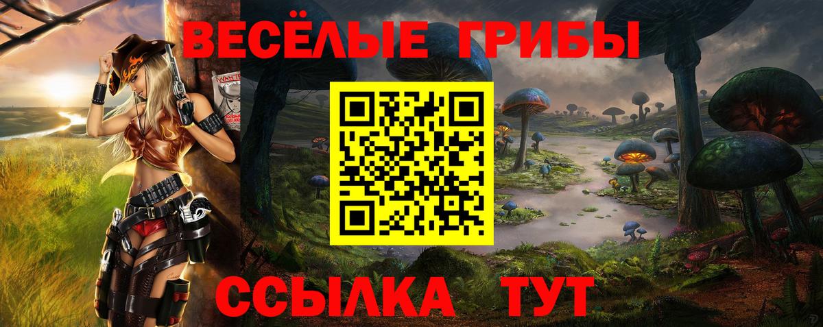 Галлюциногенные грибы ЛСД Новодвинск